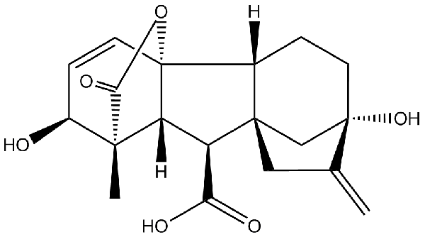 赤霉素GIBBERELLIC ACID，居然有這么神奇？